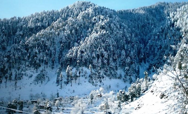 Leepa Valley Winter
