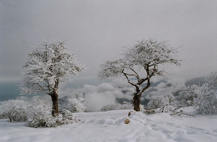 Ziarat Winter