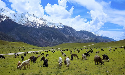 Chitral National Park - Photo by Tahsin A Shah1
