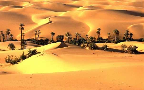 Thar Desert1