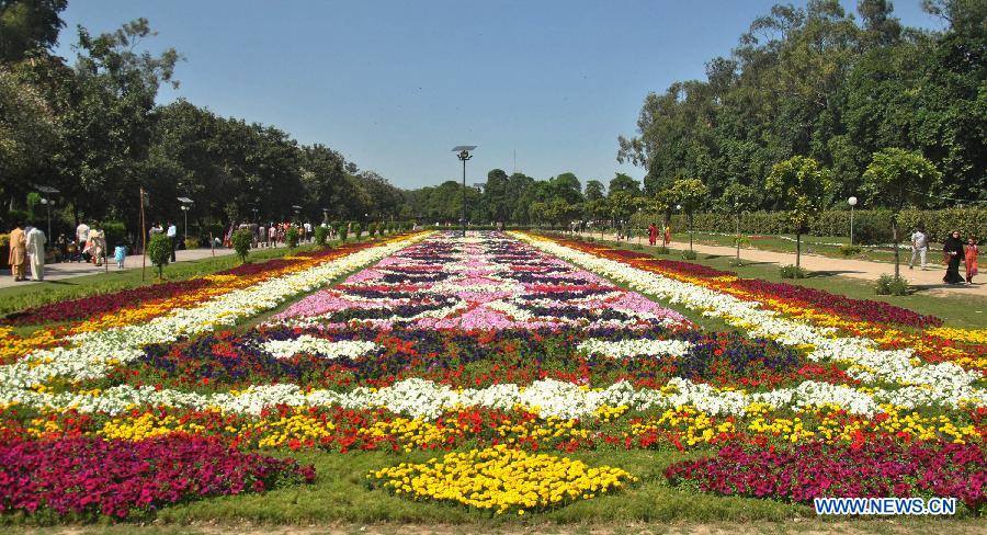 13 - Beautiful Display of Flowers in Lahore