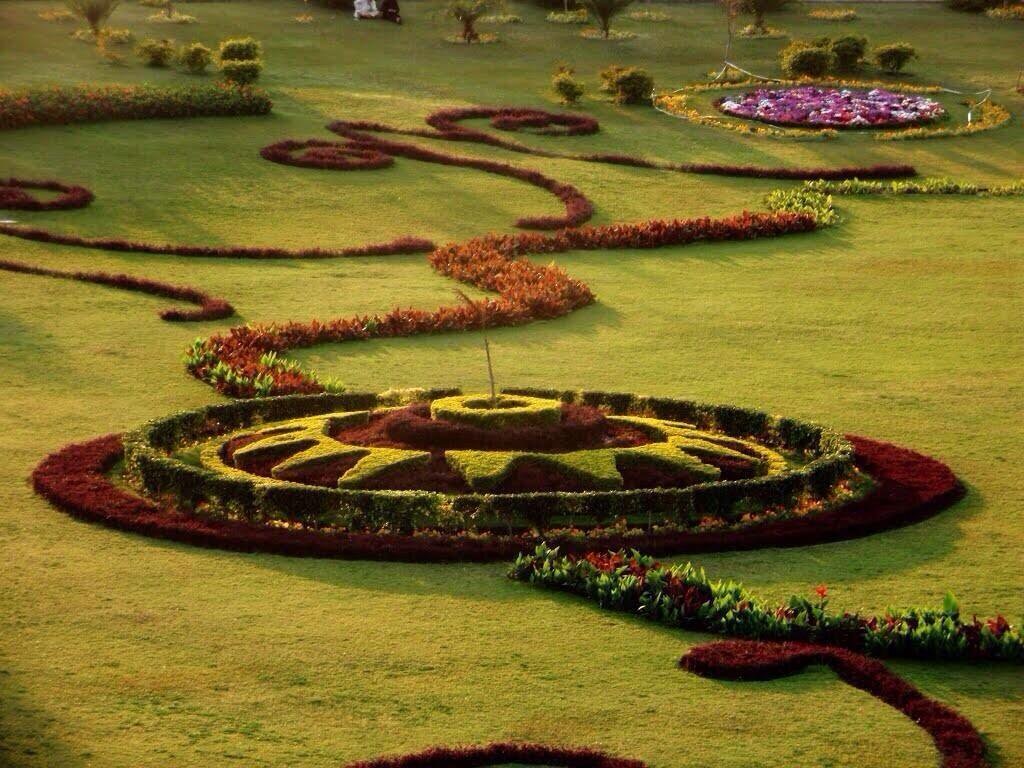 14 - A FLower Formation in PEshawar