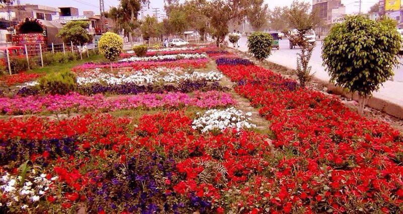 19 - Flowers Along Side a Road in Peshawar