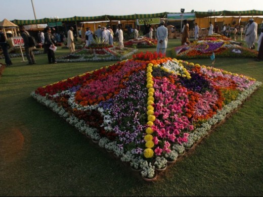 21 - Flowers During a Flower Exhibition in Karachi