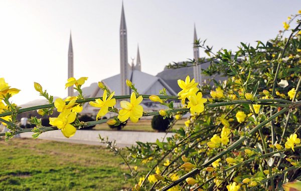 Flowers on green area in front of Faisal Mosque
