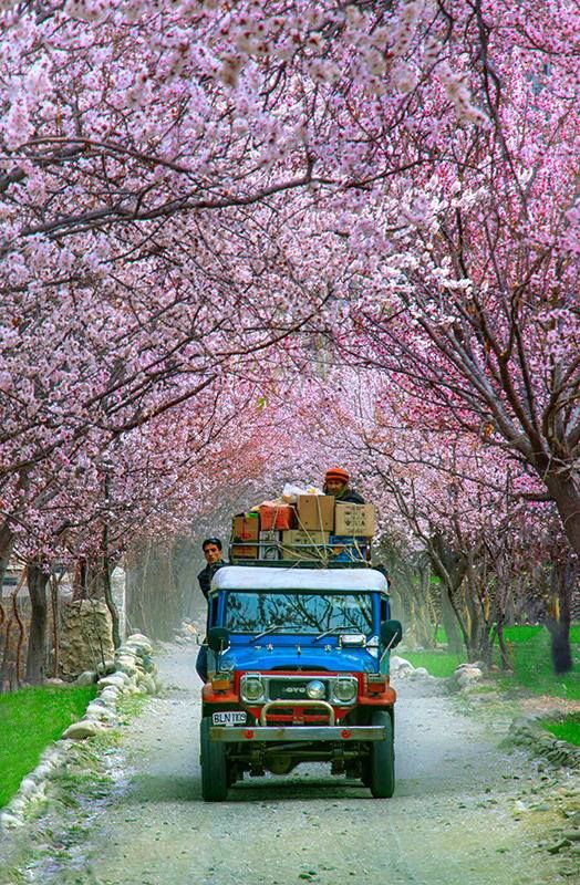 8 - Skardu in Spring