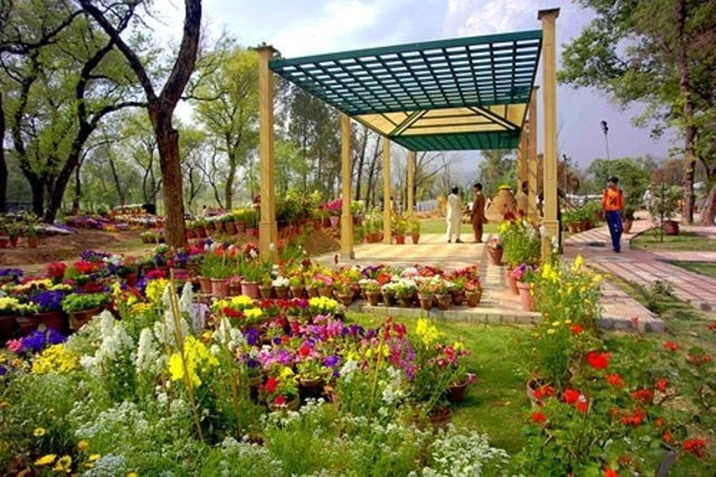 9 - Rose and Jasmine Garden Islamabad