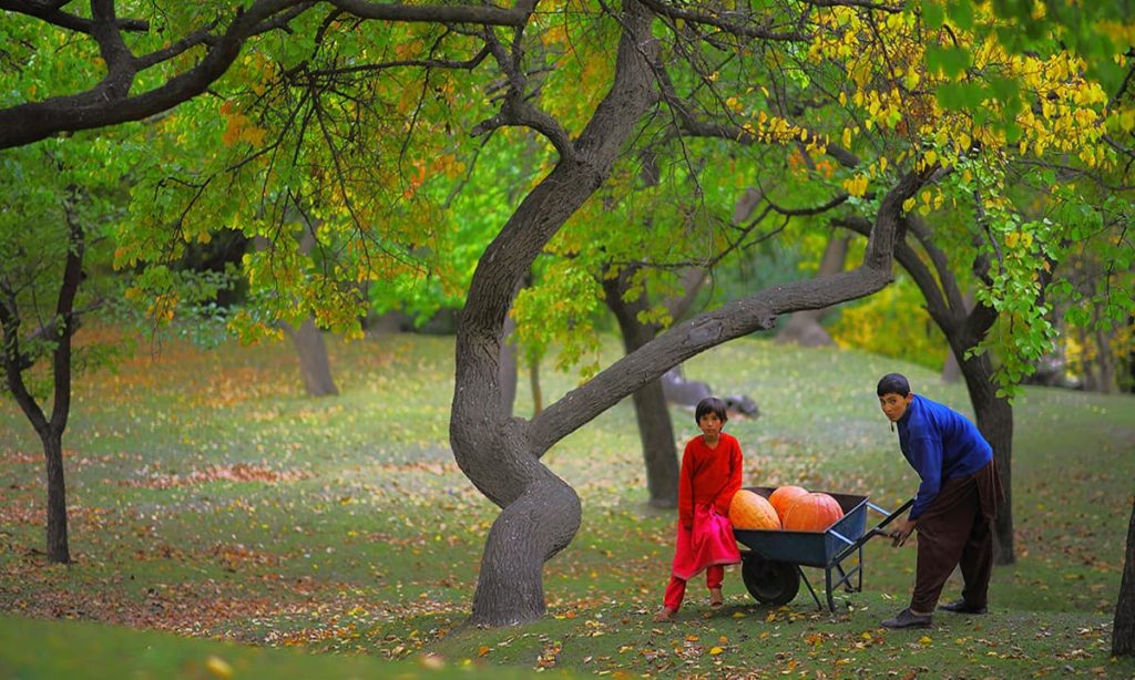 1 - Royal Garden Hunza