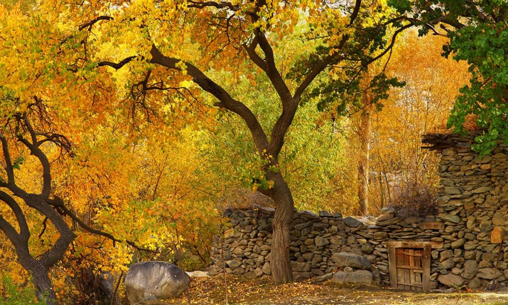 10 - Autumn in Hunza Valley