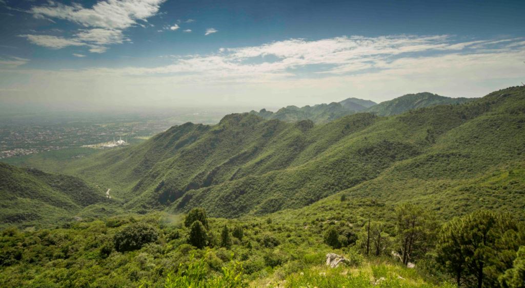 11 - Margalla Hills Picture