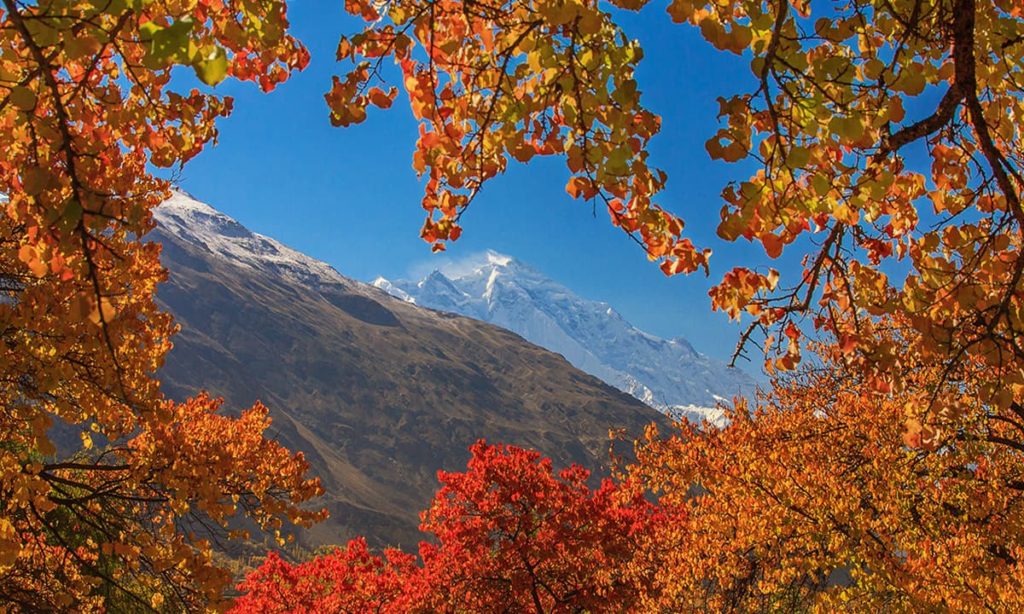 11 - View of Rakaposhi