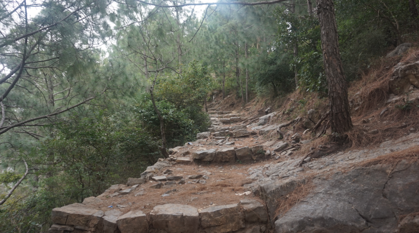 15 - Margalla Hills Trail