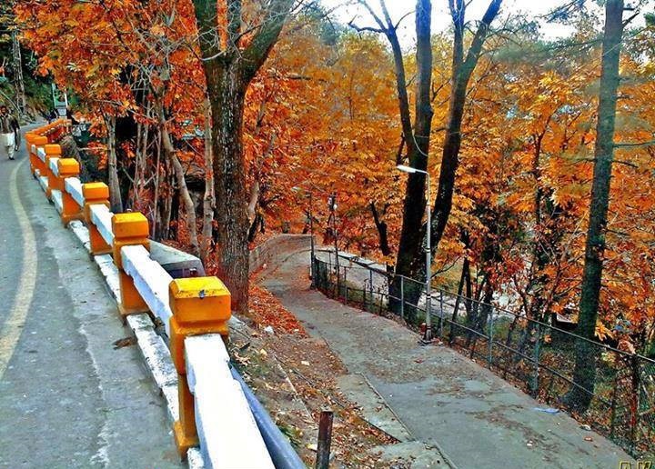 15 - This is what autumn looks like Murree