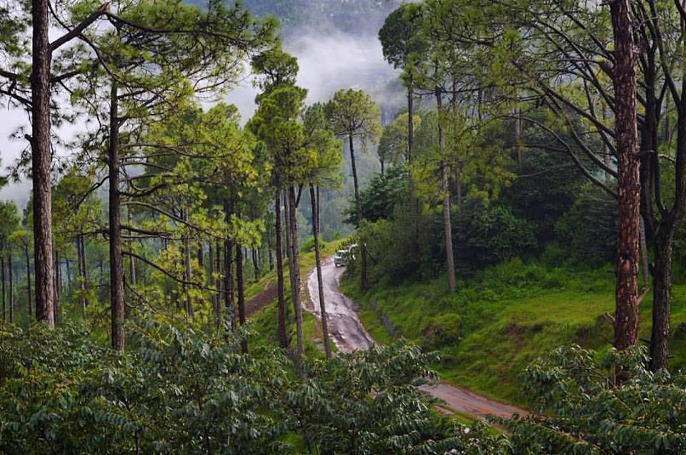 17 - Murree Hills present wonderful walking and hiking opportunities