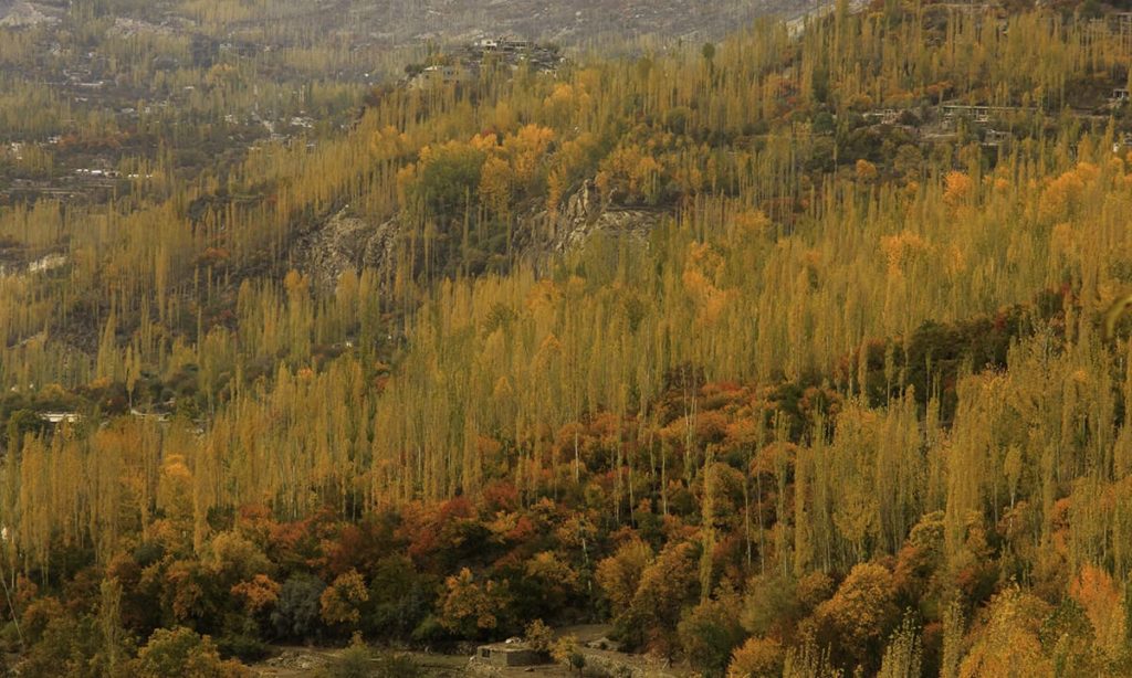2 - Autumn in Hunza Valley
