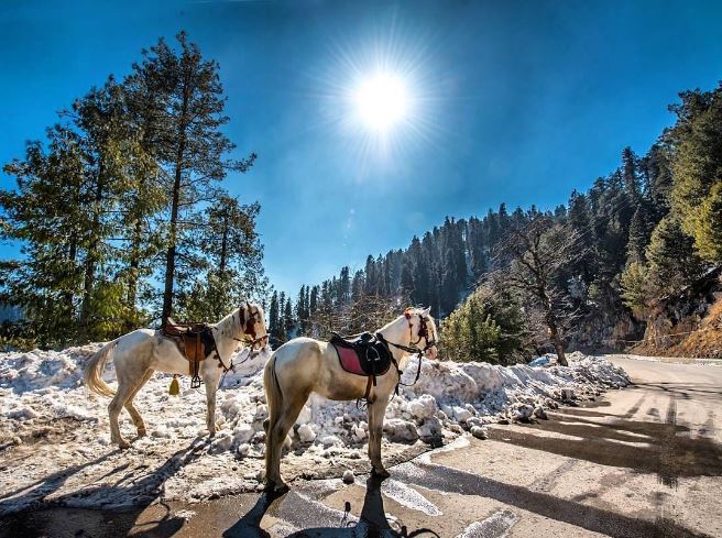 2 - Horses add to the beauty of Murree