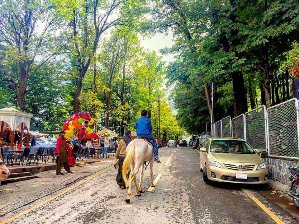 24 - You can enjoy Horse Riding in Murree