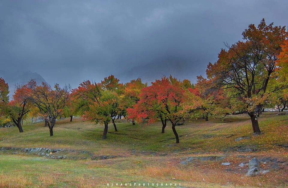 30 - Autum is Beautiful in Hunza