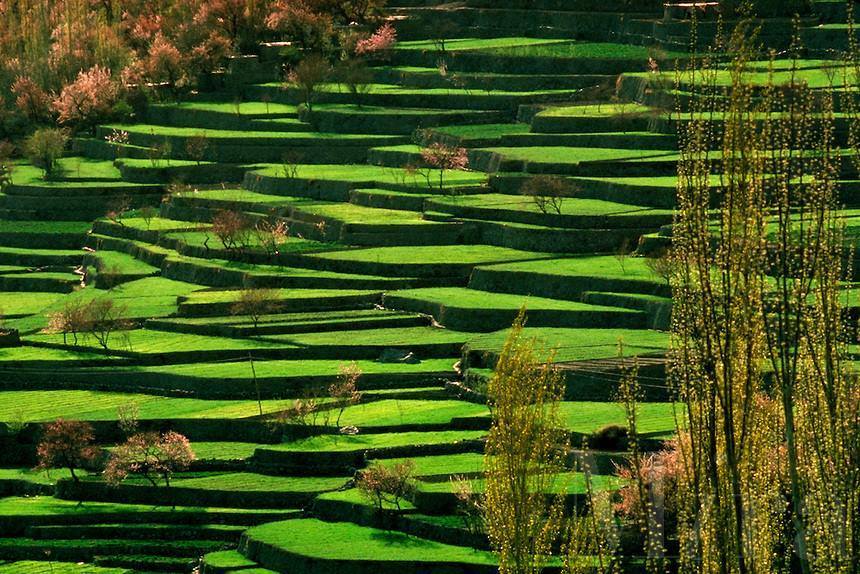 38 - Aerial View of Hunzas Lush Terraced Fields