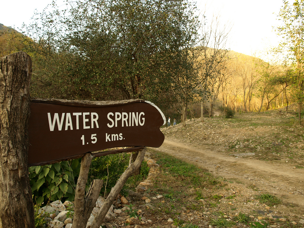 4 - water spring