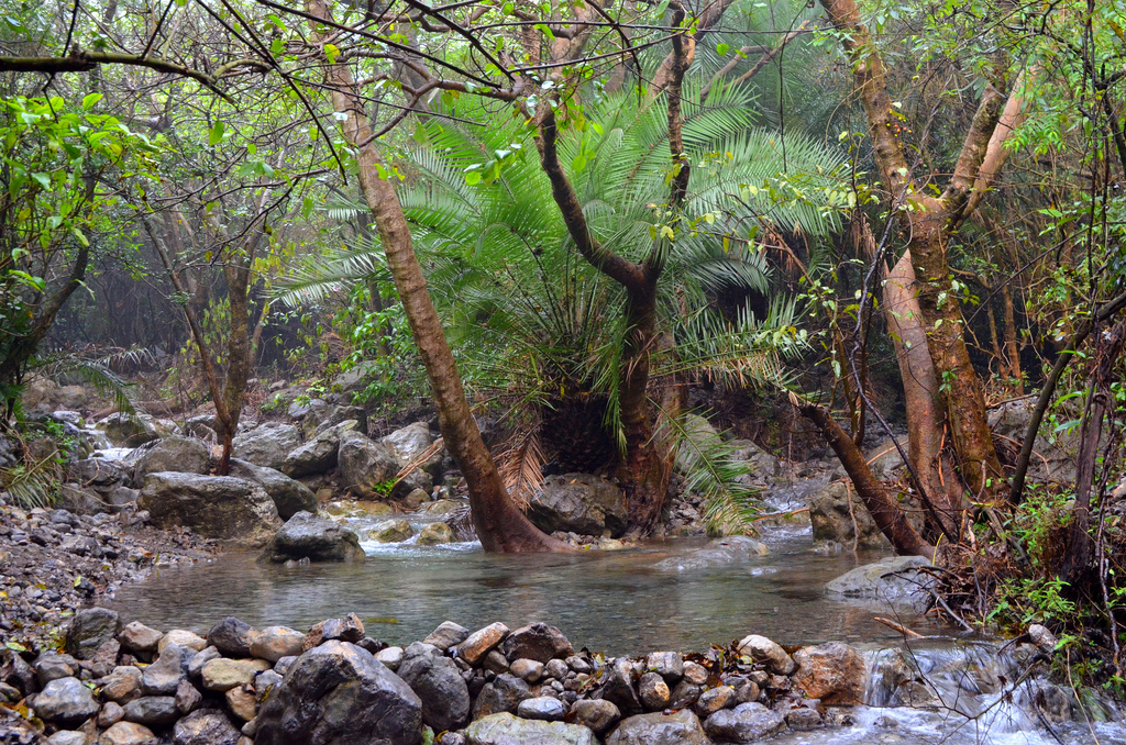 8 - water spring on trail 6