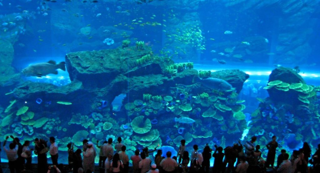 Dubai Mall Aquarium