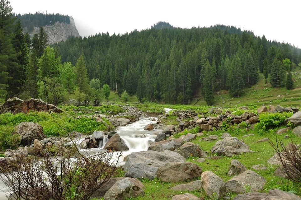 Laddu, Utror Valley, Swat, KPK