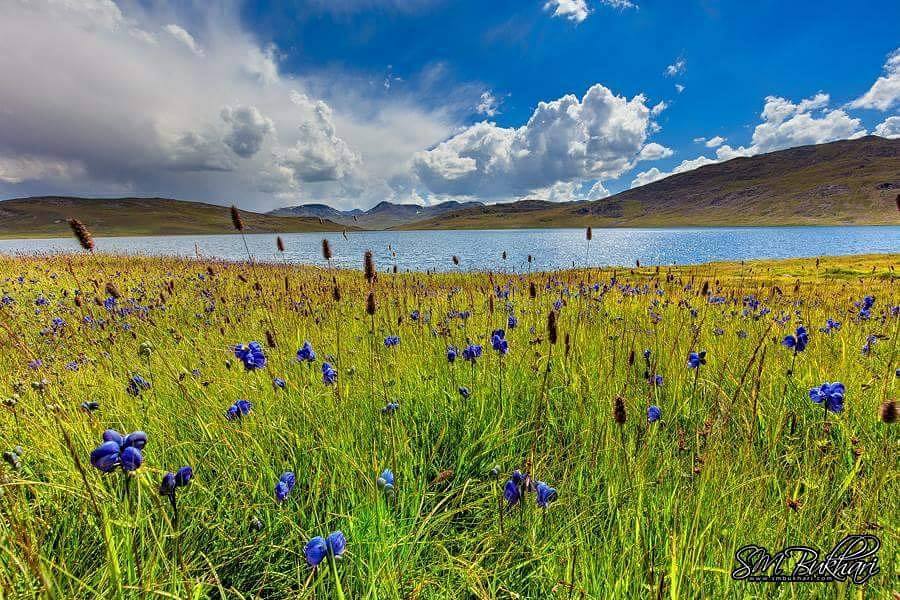 19 - Sheosar Lake - Deosai - Syed Mehdi Bukhari