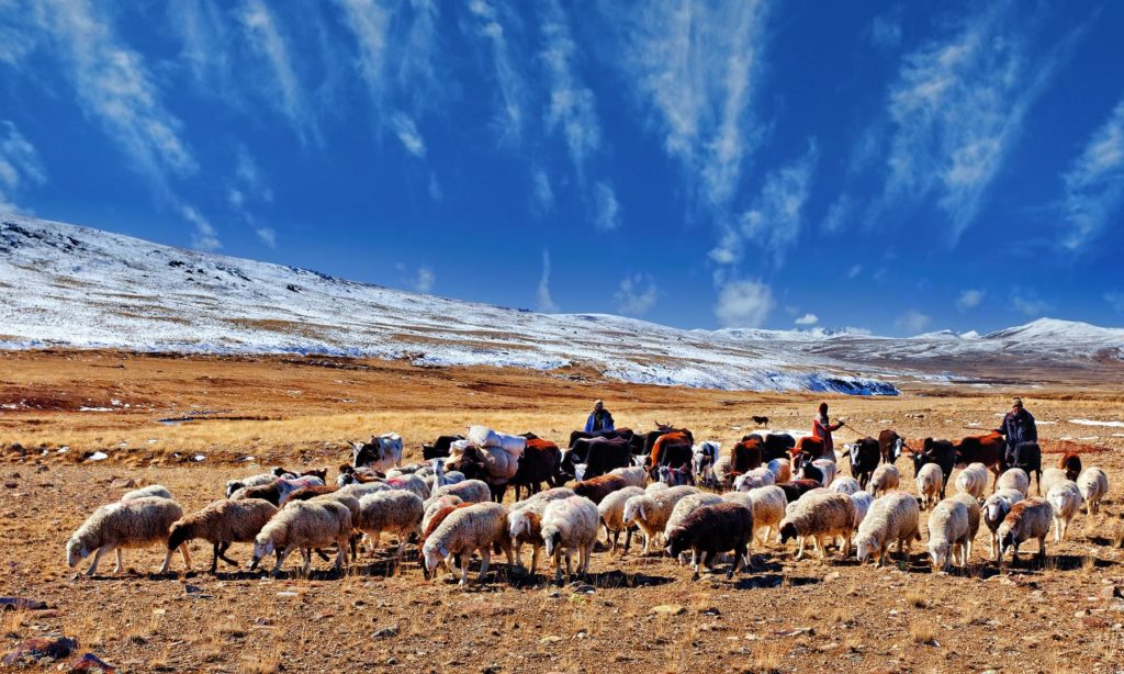 24 - Nomads of Deosai - S.M.Bukhari