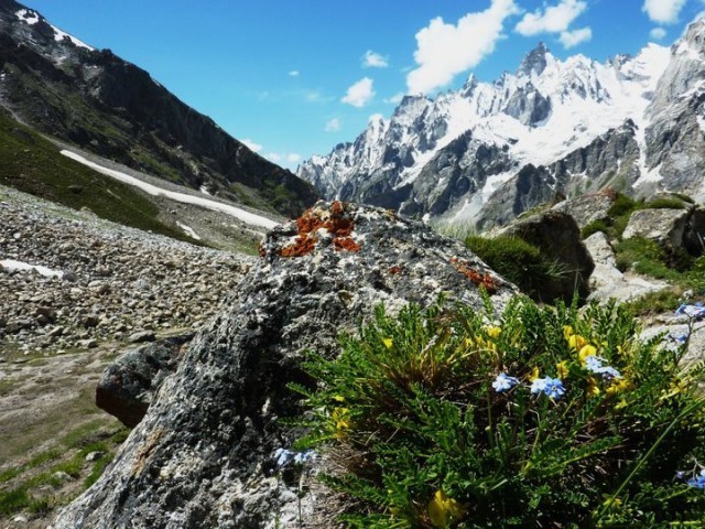 24 - Trekking Trail to Gondogoro Peak from Hushe Valley