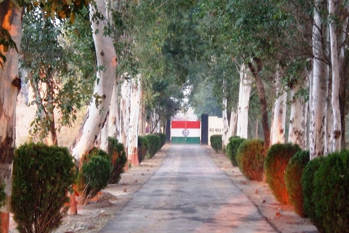 3 - Pak-India Border in Sialkot
