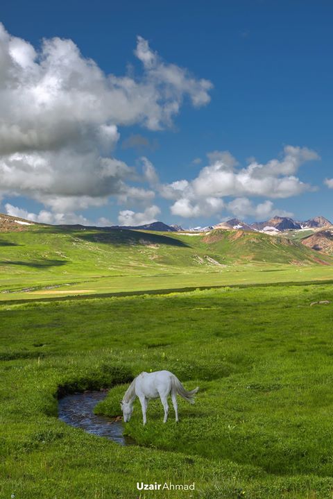 5 - Deosai - Uzair Ahmad's Photography