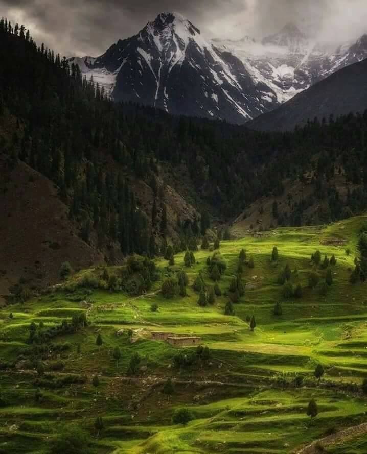 1 - Kumrat Valley 4