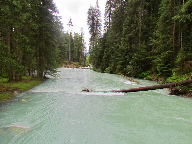 18- Forest Kumrat Valley,Panjkora River Upper Dir, KPKm