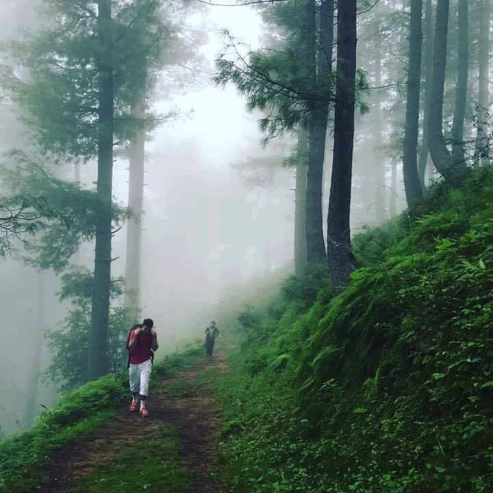 18 - Nathiagali Hiking Track