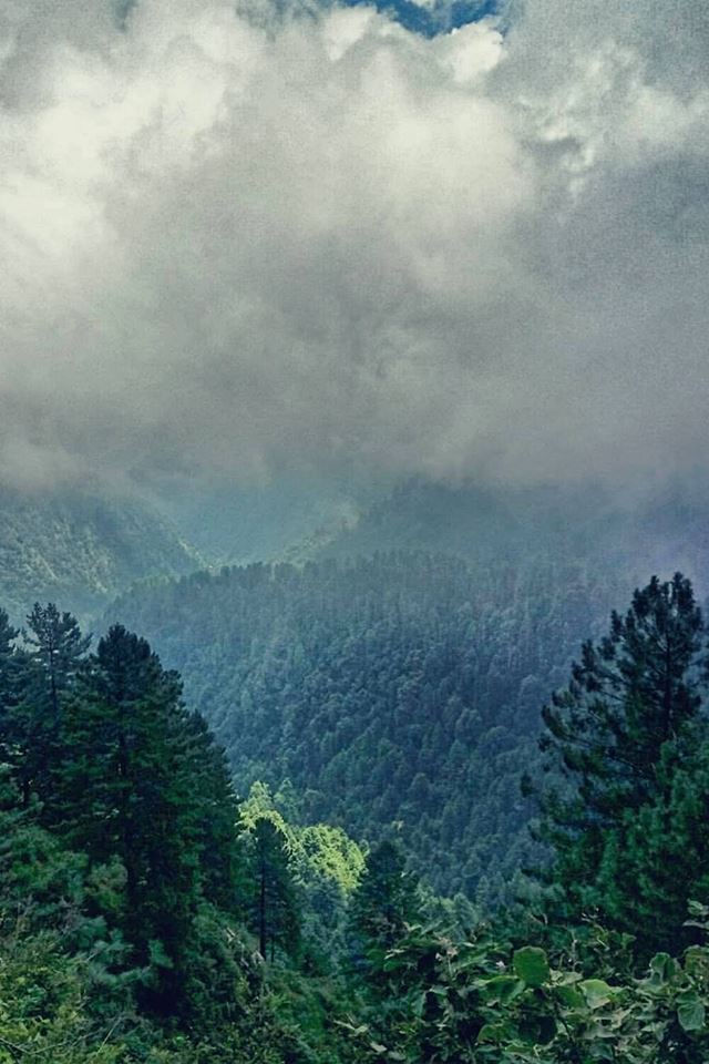 19 - Deep Jungles of Nathiagali, #KPK