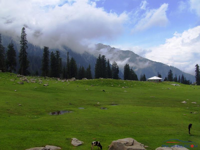 19 - Jahaz Banda Meadows, Kumrat Valley, Upper Dir, KPK