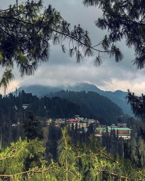 20 - Beautiful view of Nathiagali Pakistan
