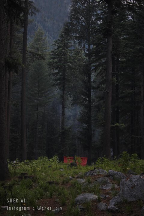 26 - Deep inside the valley of Kumran - Kpk - Pakistan