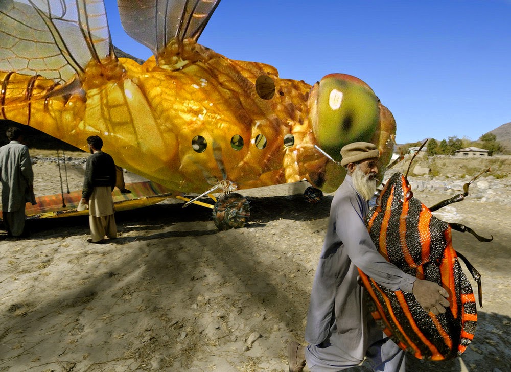 5 - Massive Dragonfly From Some Other Planet Lands Unexpectedly in Pakistan