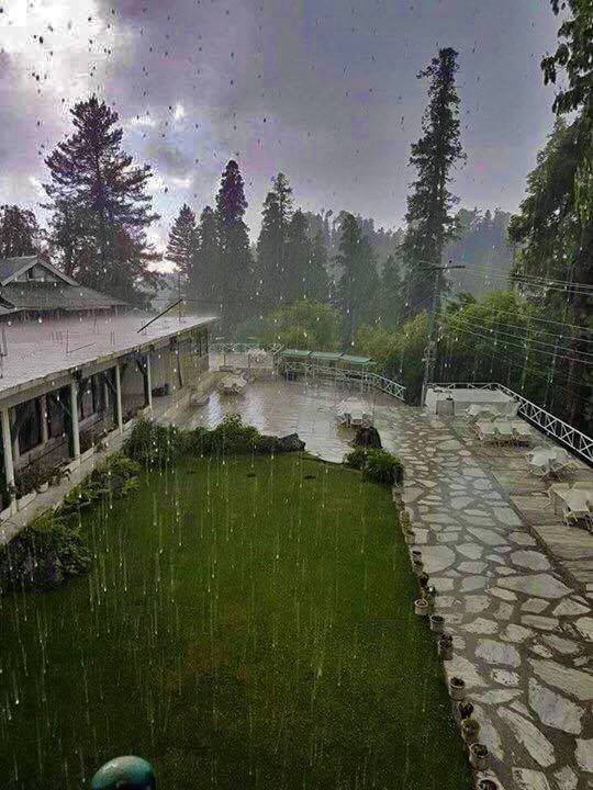 5 - Nathiagali, Abbotabad, KPK