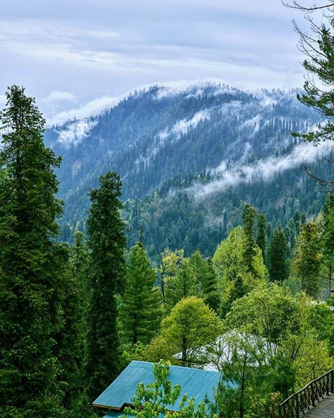 6 - Green Retreat Nathiagali