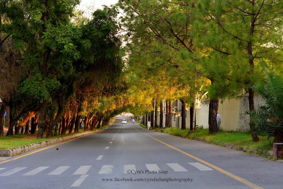 8 - HIll Road - F-6 - Islamabad