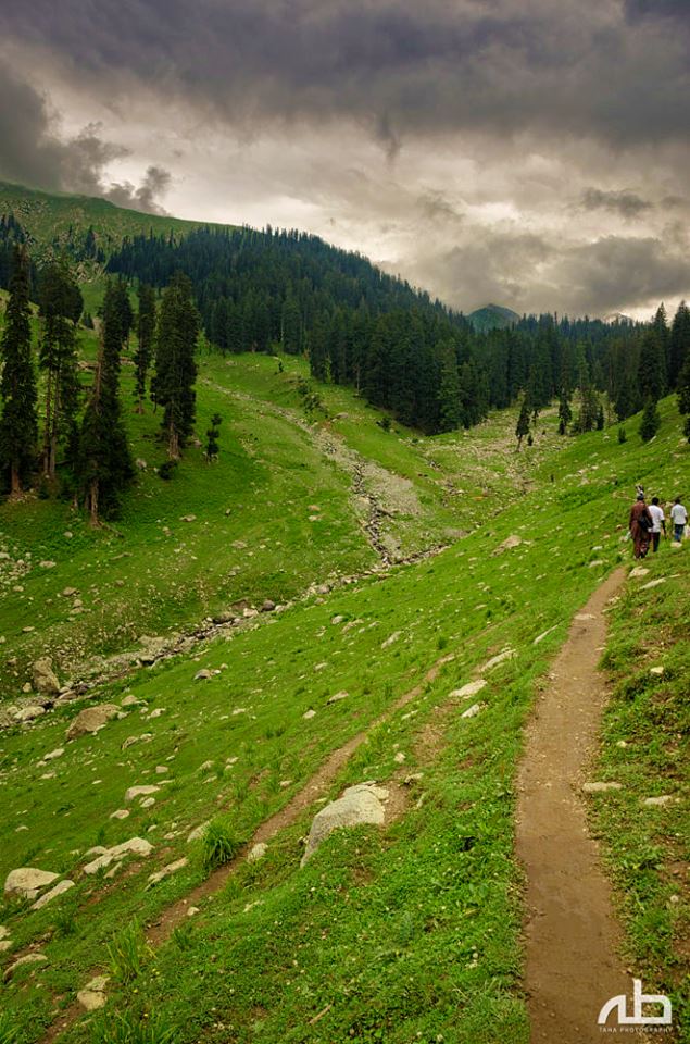 9 - Jahaz Banda Meadows from Jandrai Village, Upper Dir, KPK.