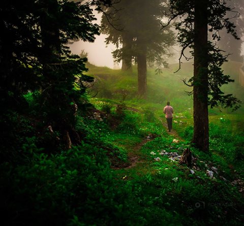 Ayubia Changla Gali - Photo Credits - Rehan Qazi