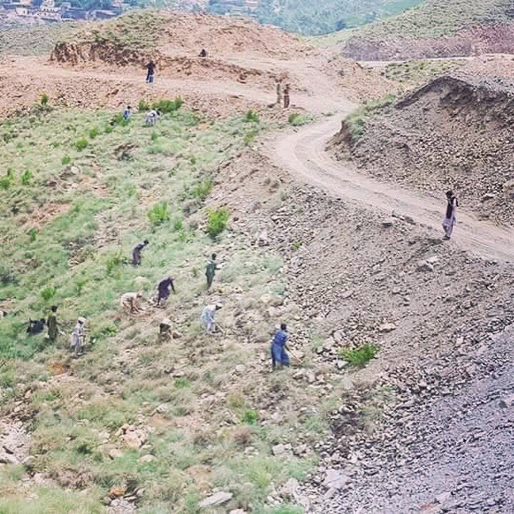 Billion Tree Tsunami Site at Dargai - Malakand 1