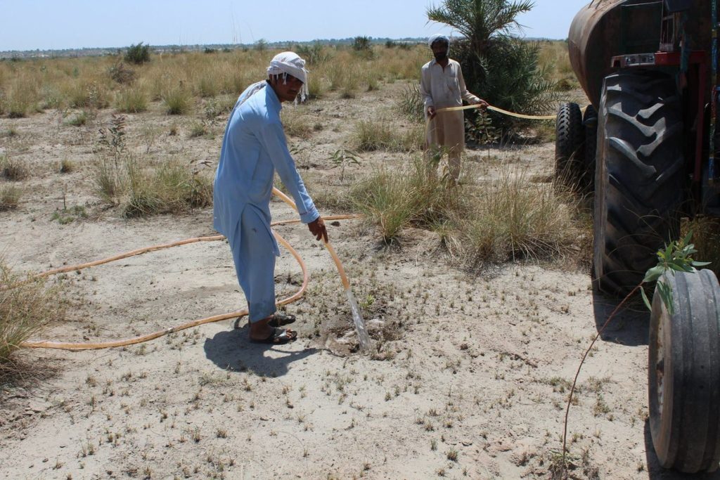 Billion Tree Tsunami in Bannu 1