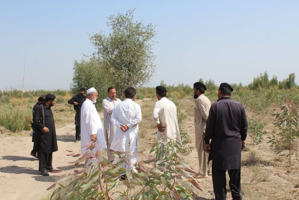 Billion Tree Tsunami in Bannu 3