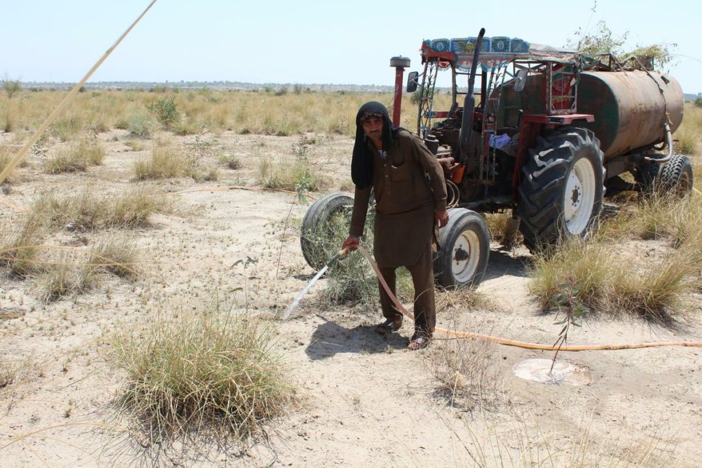 Billion Tree Tsunami in Bannu