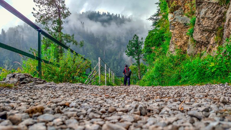 Donga Gali - Pipe LIne Track